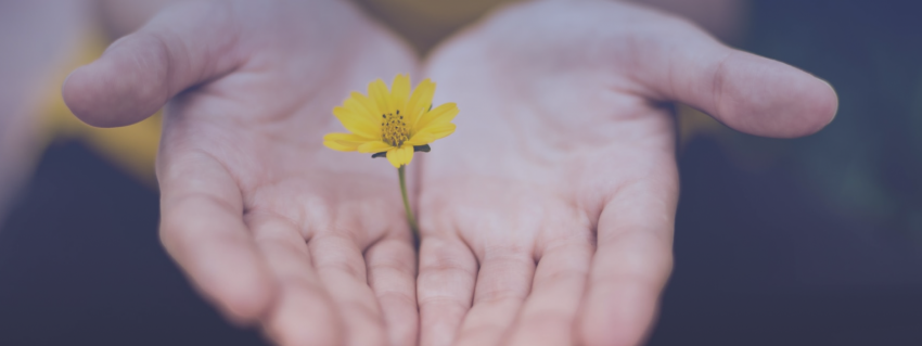 Un approccio Data-Driven nel sociale: l’importanza dei dati